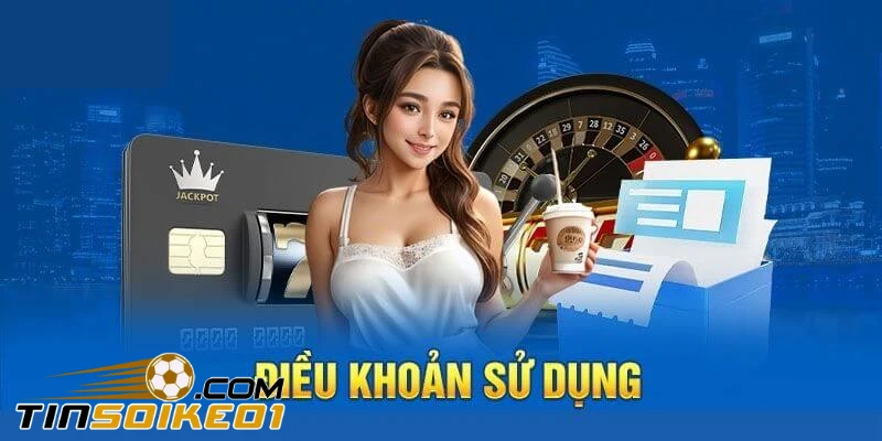Điều Khoản Sử Dụng 1 Điều khoản sử dụng của brigadoonswakopmund.com